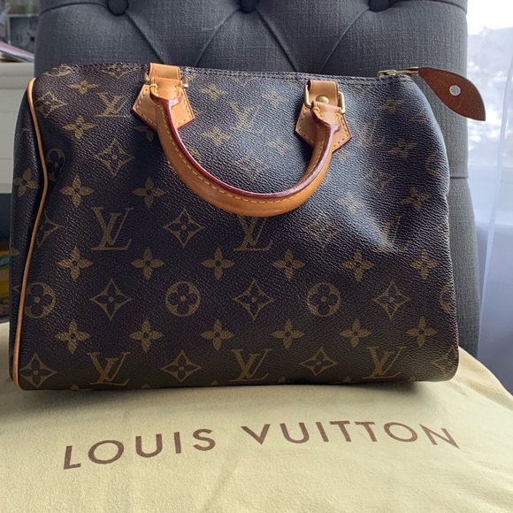 Louis Vuitton Handbags - Louis Vuitton Speedy 25 Bag